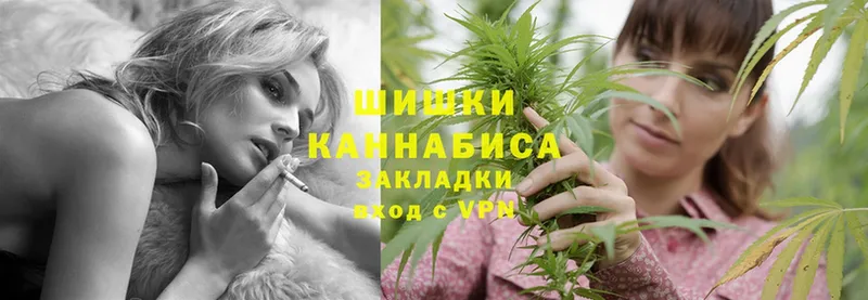 закладка  Кинешма  Канабис гибрид 